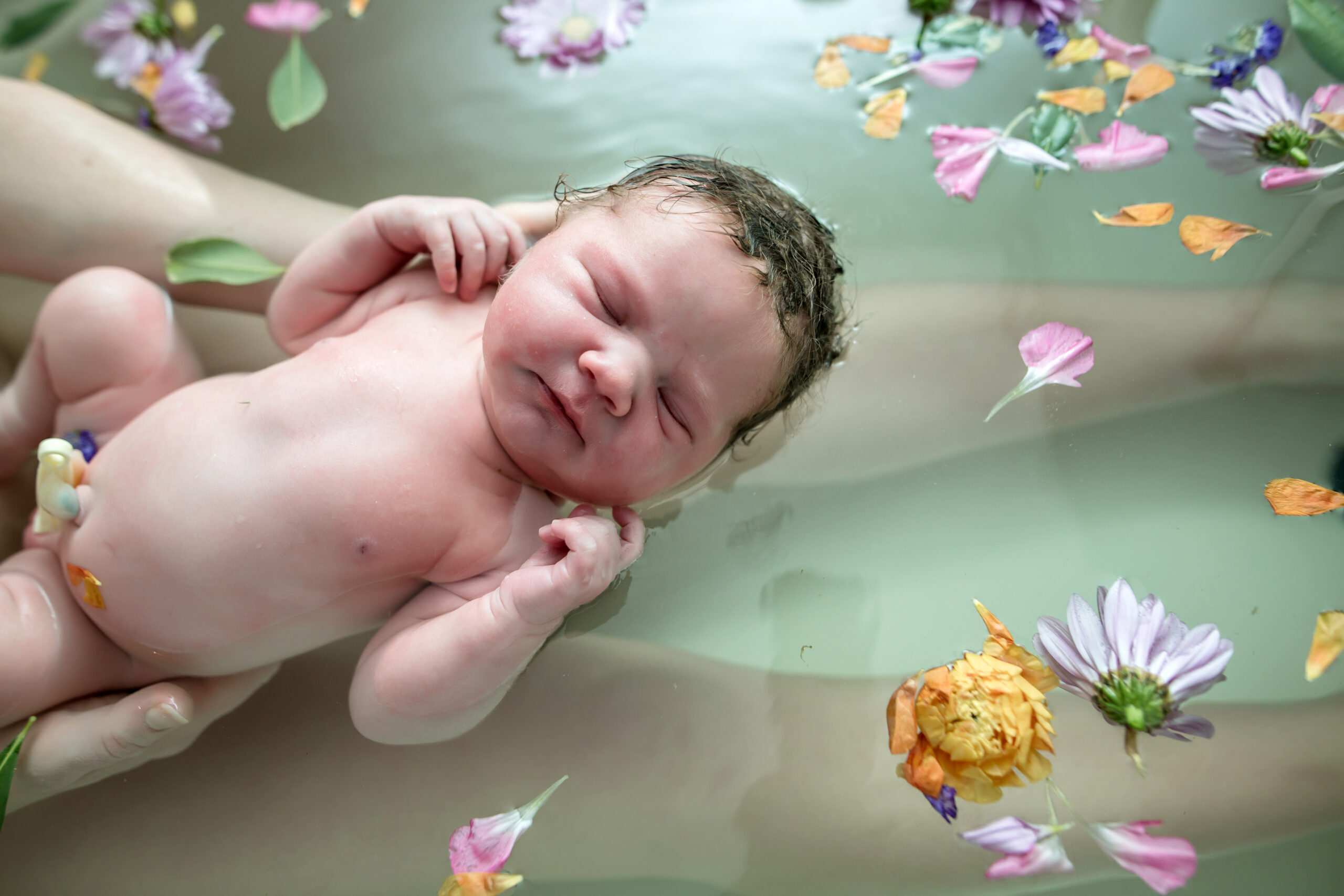Maternity Services | Tree Of Life