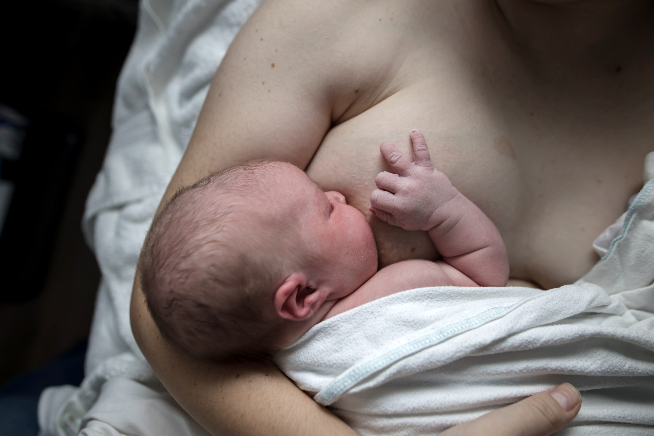 Pregnancy, Birth& Postpartum Care | Tree Of Life